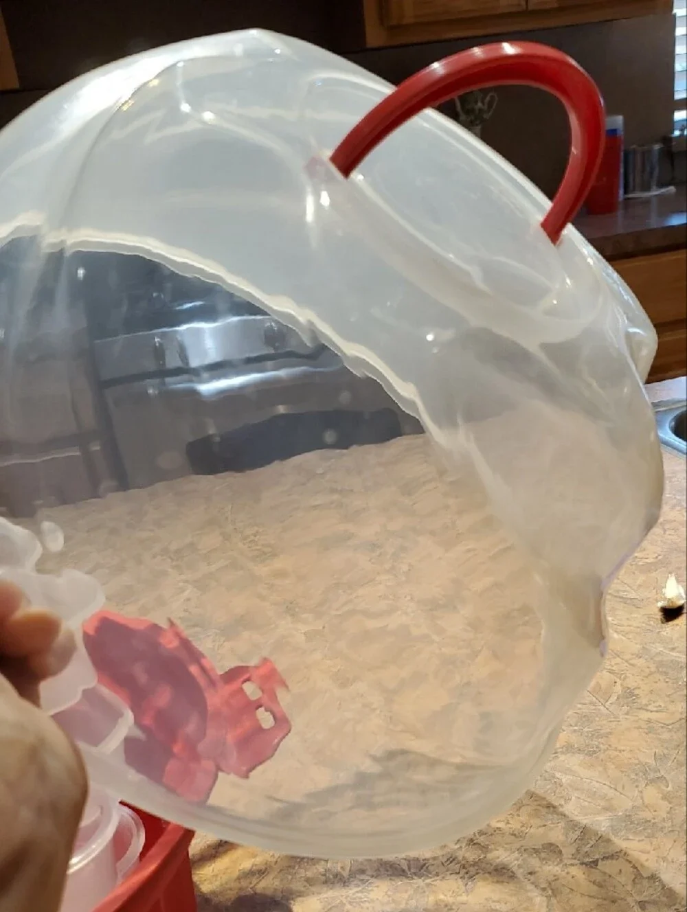 Cupcake Carrier